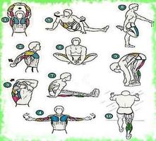 Stretching Exercises ảnh chụp màn hình 2