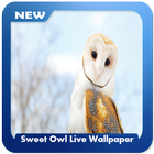 Sweet Owl Live Wallpaper иконка