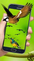 Flying Birds 3d Live wallpaper ภาพหน้าจอ 1