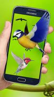 Flying Birds 3d Live wallpaper スクリーンショット 2