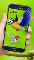 Flying Birds 3d Live wallpaper screenshot 2