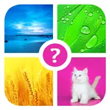 Words & Pics ~ 4 pics 1 word