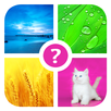 Words & Pics ~ 4 pics 1 word APK