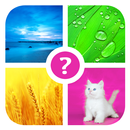 Words & Pics ~ 4 pics 1 word APK