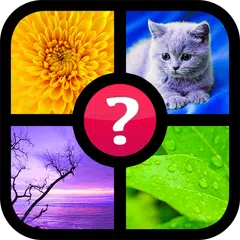 Guess the word ~ 4 pics 1 word APK download
