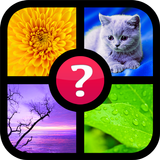 Errate das Wort! ~ Foto Quiz APK