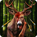 Forest Hunter APK