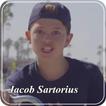 Jacob Sartorius Hit or Miss