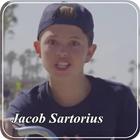 Jacob Sartorius Hit or Miss icône