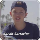 Jacob Sartorius Hit or Miss icono