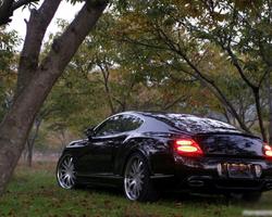 Quebra-cabeças Bentley Continental GT imagem de tela 3