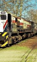 Argentina Railroad Jigsaw Puzzles Game capture d'écran 2