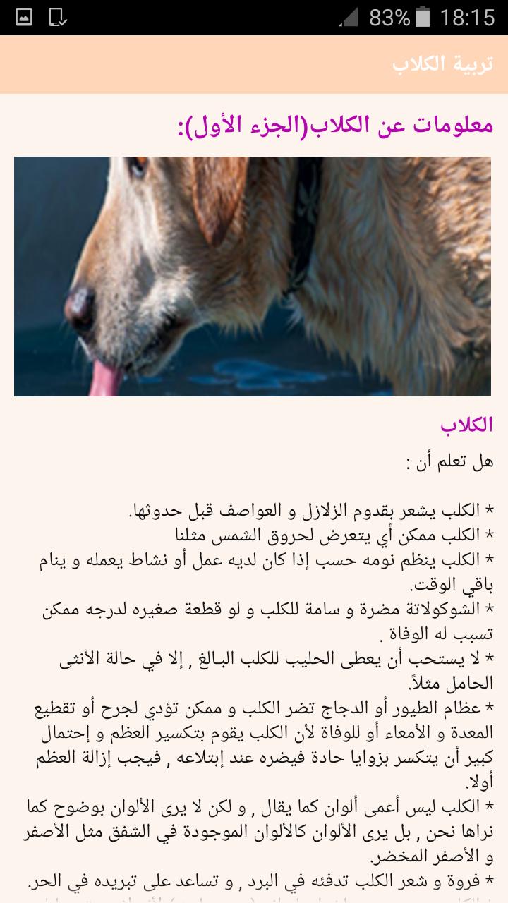 مخطط صغير جدا يزور الكلاب حرام Sjvbca Org