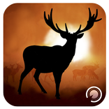 Safari Archery Hunting 2017