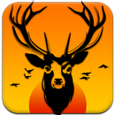 The Safari Hunting APK
