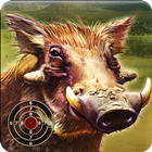Warthog Target Shooting icon