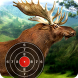 Moose Target Shooting