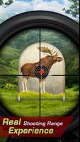 Moose Target Shooting Affiche
