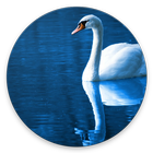 Relaxation Music 图标