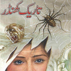 Tarik Khandhar urdu novels icône