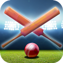 Realtime Cricket Scores APK