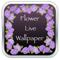 Sexy Flower HD Live Wallpaper