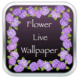 Sexy Flower HD Live Wallpaper