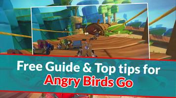 Guide For Angry Birds Go!!! screenshot 1