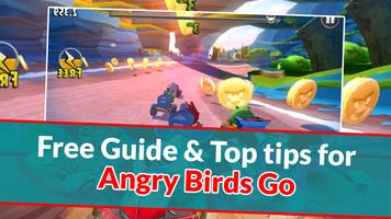 برنامه‌نما Guide For Angry Birds Go!!! عکس از صفحه