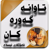 تاوانە گەورەکان иконка