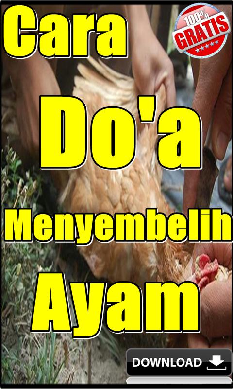 Doa Memotong Ayam Lengkap Doa Lafadz Cara Adab Dll