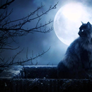 Mystical Jigsaw Puzzles APK