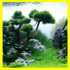 Aquascape Design Gallery 图标
