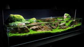 Aquascape Design Gallery 海报