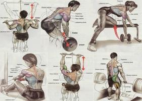 Tập thể dục ảnh chụp màn hình 1