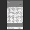 Maze Master