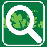 Weedviewer icon