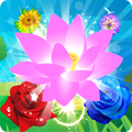 Blossom Garden