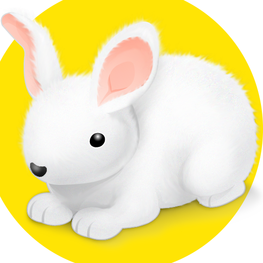 Kids Memory Game: Fun Animals