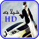اغاني شيلات منوعه ايقاع APK