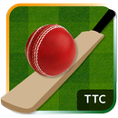 Tic Tok Cricket APK