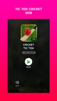 Tic Tok Cricket 포스터