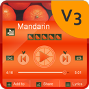 Mandarin Music Player Skin APK
