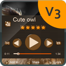 Cute owl Music Player Skin APK