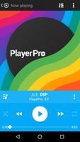 Skin for PlayerPro Clean Color الملصق