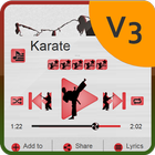 Karate Music Player Skin ikona