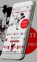 Karate Music Player Skin plakat