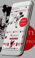 پوستر Karate Music Player Skin