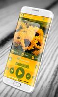 Sunflower PlayerPro Skin poster