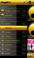 SKIN PLAYERPRO SPACE GOLD screenshot 3